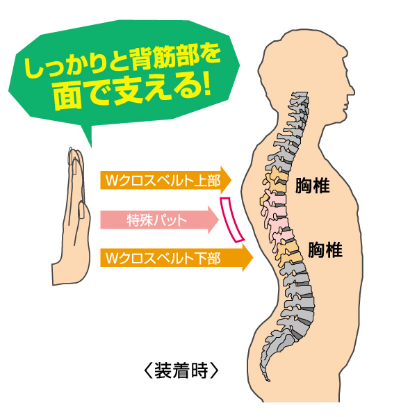 �L�w�����ɂv�N���X�p���⏕�x���g