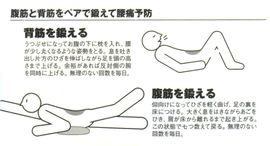 腹筋と背筋を鍛えて急な腰痛・ぎっくり腰を予防