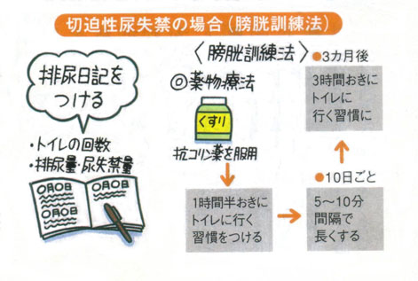 尿漏れ頻尿に膀胱訓練法