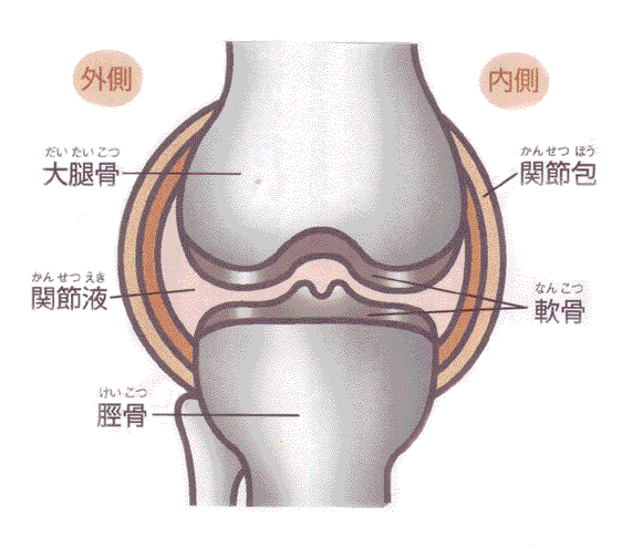 変形性膝関節症・上手な治療の受け方