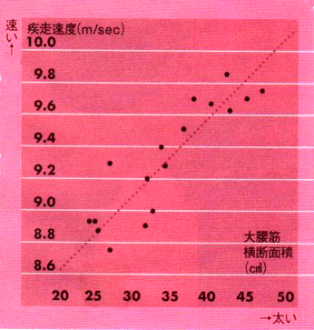 骨盤のゆがみだけでない、大腰筋と足の速さの関係