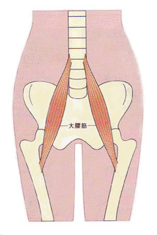 骨盤矯正体操・骨盤のゆがみに、大腰筋を骨盤体操で鍛える