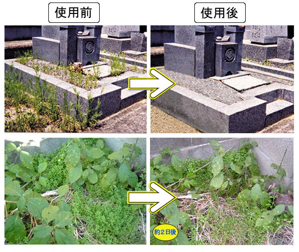 剤 無害 除草 除草剤の地下水への影響