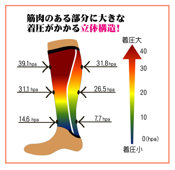 畆oT|[^[@ӂ͂p