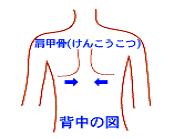 よし姿勢に、肩を開いて猫背矯正