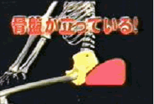 ɂɍՍzc