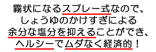 ちょいかけスプレー・２本組