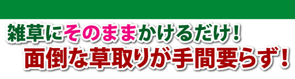 雑草枯らし１１０番