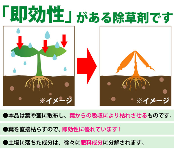 雑草枯らし１１０番