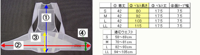 背筋補正コルセット