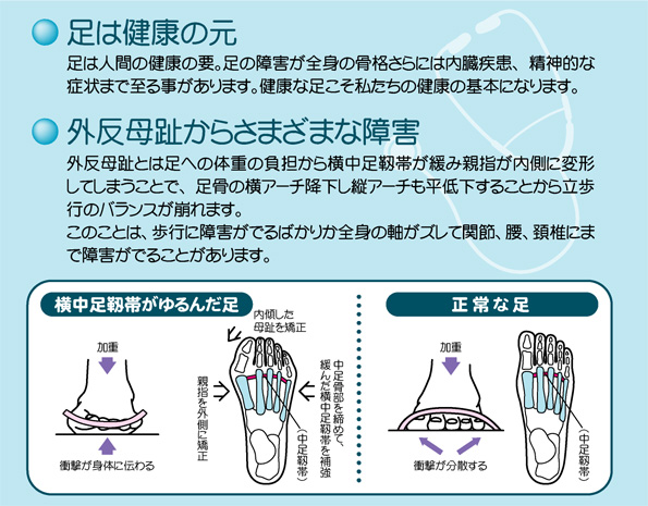 外反母趾・足楽サポーター