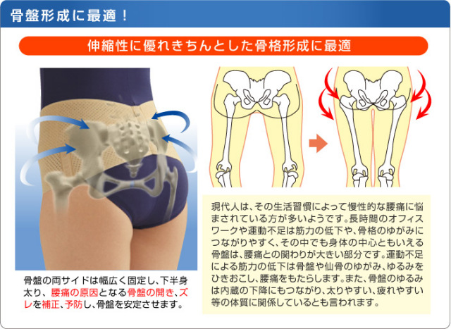 メッシュV型ダブル骨盤ベルト